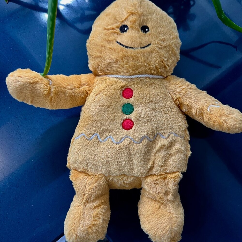 Warmies Gingerbread Boy - Picture 6 of 8